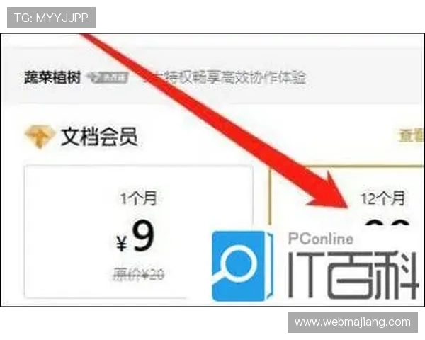 开云网页登录便捷入口，轻松访问开启尊贵会员体验